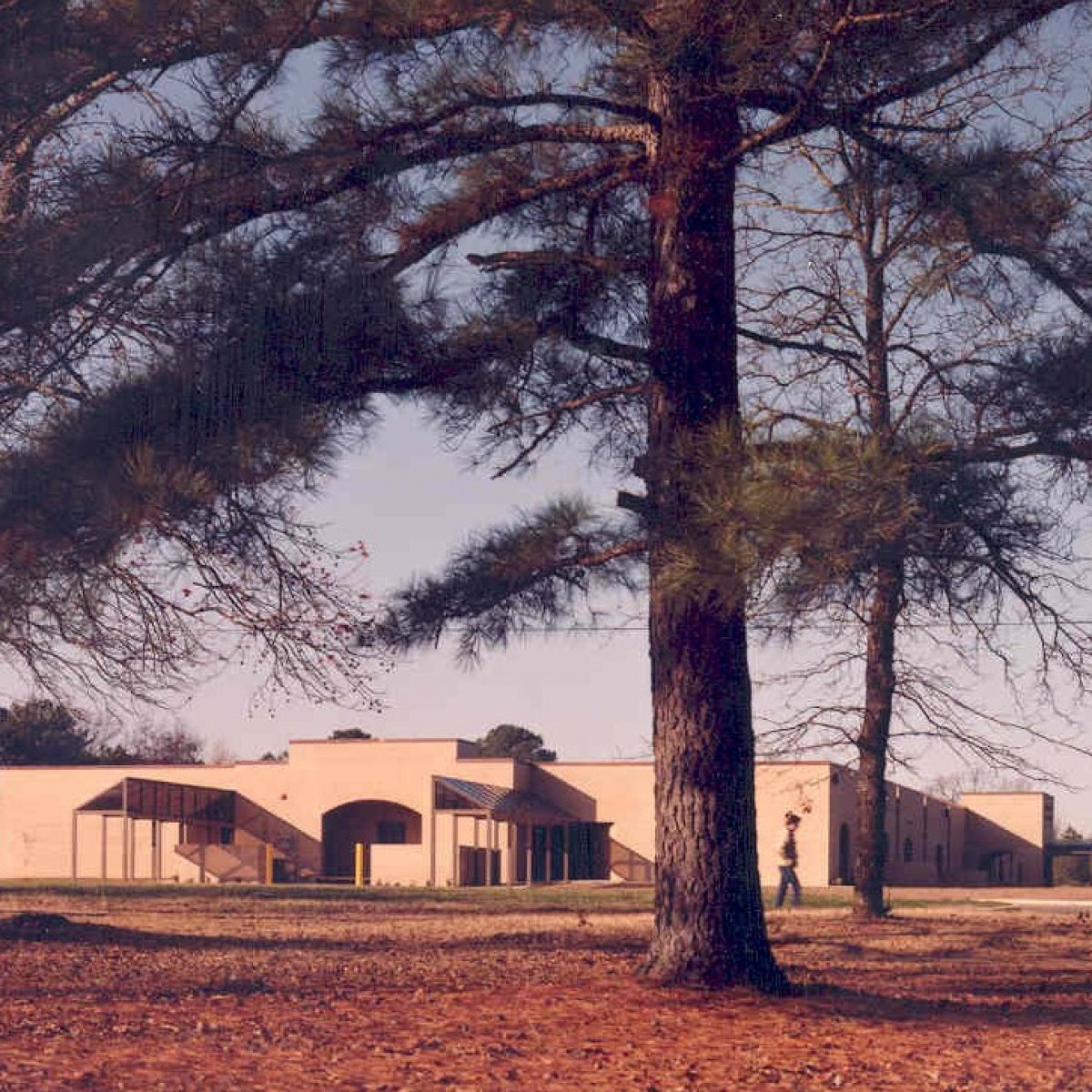 Edward D. Trice Elementary School 5